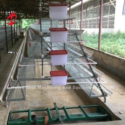 Automatische Reihen-heißer Verkauf Rose des Schicht-Batterie-System-Handelsschicht-Hühnerkäfig-3