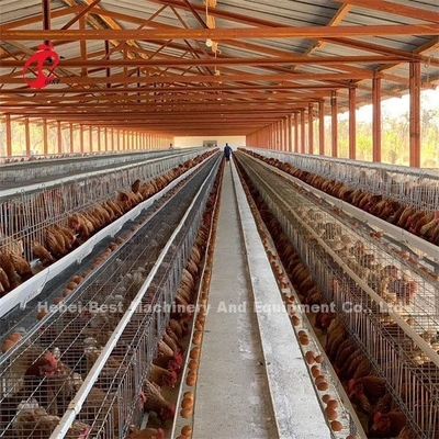 Ein Rahmen-Tiergeflügelzucht-Batterie-System-Stall strukturieren 2022 heiße Verkaufsemily