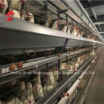 Weitverbreiteter Eisen-Draht-Geflügel-Schicht-Käfig für Handelshuhn Mia