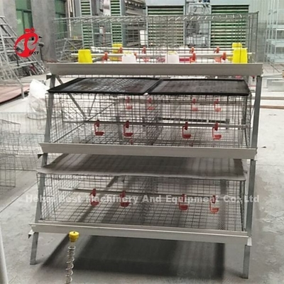 Retten Sie Raum-Geflügel, das Brathühnchen kohlenstoffarmen Stahldraht in Afrika Adela einsperren