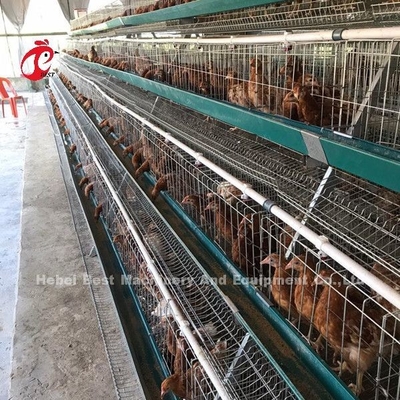 Elektrische galvanisierte Schicht-Geflügelfarm-Käfig-Antirost-Schicht-Batterien Emily