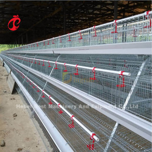 Importierter bester Qualitäts-Schicht-Hühnerkäfig für reifes Huhn in Afrika-Markt Mia