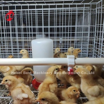 Ausrüstung für Geflügelfarmen H-Typ Batterie Hühnerkäfig für Broiler Mia