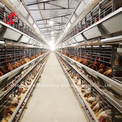 Automatische Anpassung Stabile Schicht Geflügelfarm Käfig Batterie Größere Größe Rose