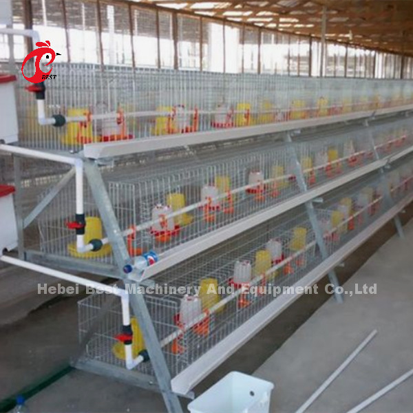 Eine-Tag-alt Küken-Batterie für Reihe der Bratrost-3 oder 4 galvanisierte Iris