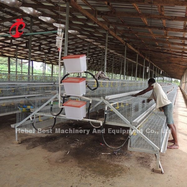 CER eine Art 120 Vögel Chick Rearing Cage With Drinkers und Zufuhren spielt die Hauptrolle
