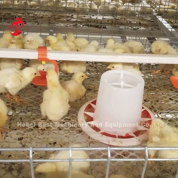 Ein Typ Broiler Hühnerkäfig und Farm Geflügelhaus Gebäudedesign Mia