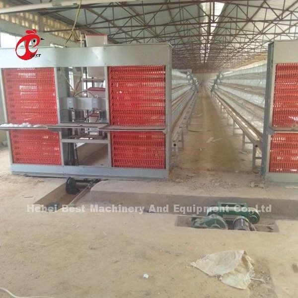 Leiter-Art Batterie-System des Huhn2.4mm automatisches im Geflügel Emily