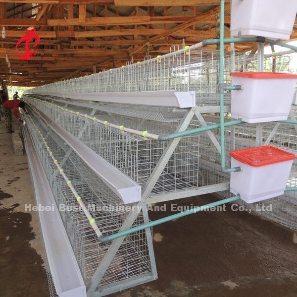 120 Vögel 200 Vögel Kapazität Geflügel Batterie Käfig System für Schichten Broiler Küken Star