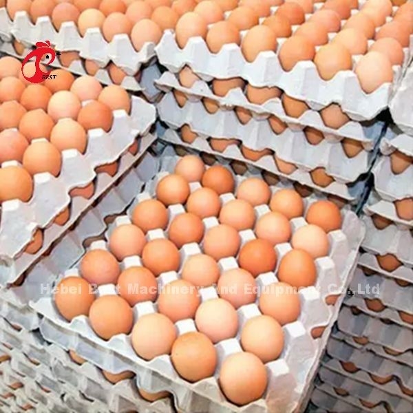 Ein Typ Schicht Batterie Käfig-System in 5000 Eier legen Hühnerfarm Mia