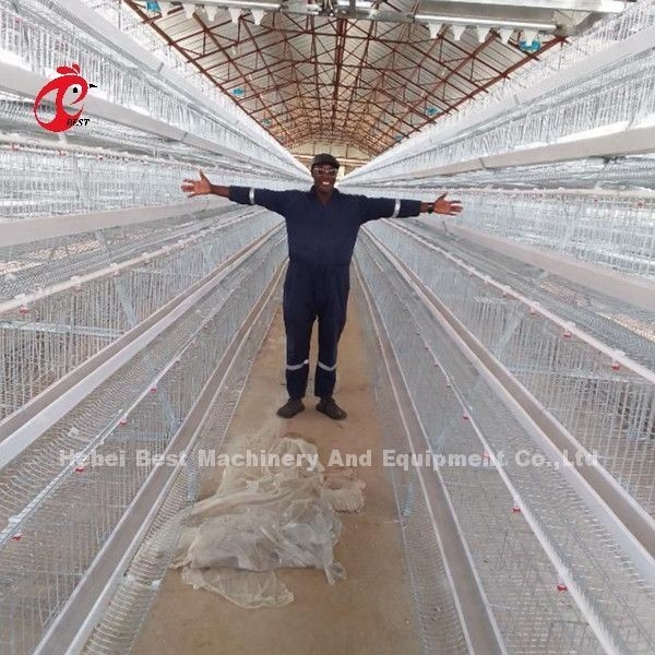5 Tier 200 Vögel verzinktes Geflügelkäfigsystem für Hühnerfarm Sandy