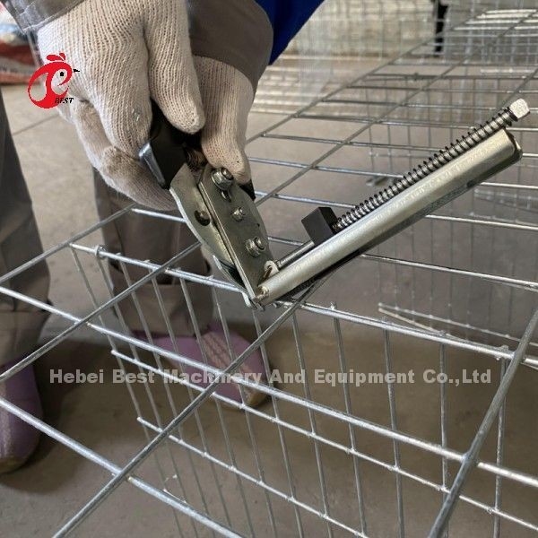 Galvanisiert Typ 3 oder Tier 4 Hühner Geflügel Schicht Batterie Käfig für 45.000 Vögel Geflügel Hühnerfarm Doris