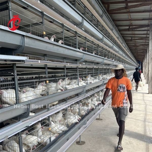 H-Typ Voll-Hot Dip Galvanized Automatische Hühnerkäfig-Ausrüstung für Hühnerfarmen Sand