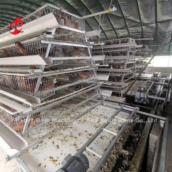 Automatische Düngemittel-Schaber-und Gurt-Art bestimmt für Hühnerbauernhof Sandy