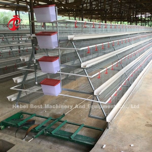 Schaber-Düngemittel-Abbau-Ausrüstungs-des ganzen Satzes automatisches Kohlenstoffstahl für Hühnerhaus-Stern