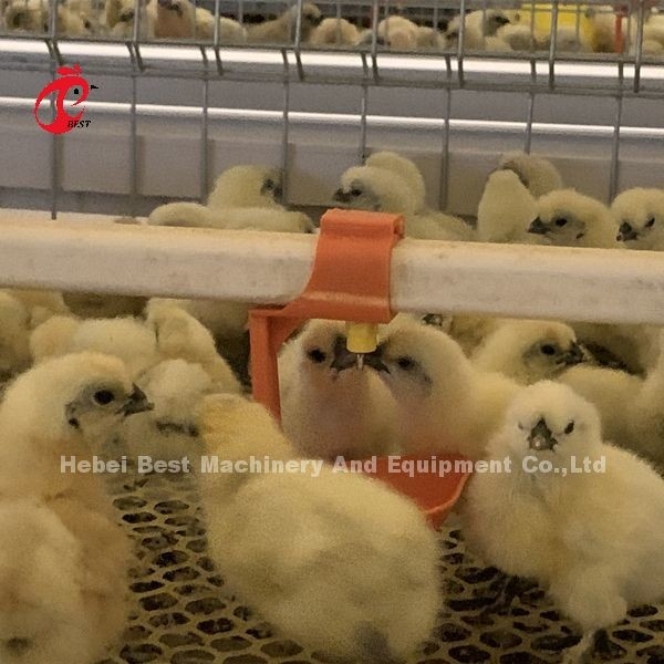 Praktische 380-Volt-Kükenbrutkäfig für Tag-Alte Schicht-Züchter-Küken in Afrika Farm Iris