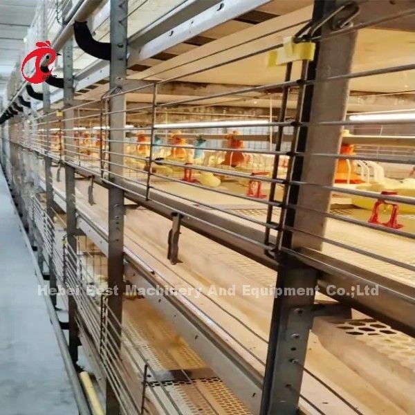 BEST Galvanisierte automatische H-Typ Hühnerfarm Broiler Käfig System Adela