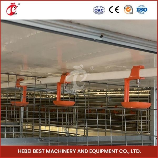 Automatische H Art einer-Tag-alt Chick Pullet Cage High Capacity Adela des langen Lebensdauer-modernen Geflügel-Käfig-