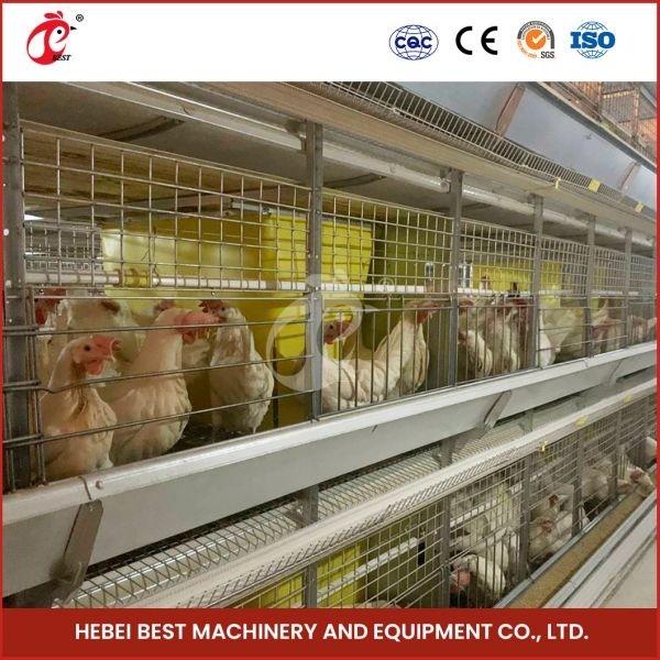 Automatische h-Art Vogel-Geflügelfarm-Ausrüstung Mia des Fleisch-Brathühnchen-Käfig-84