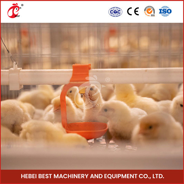 Automatisierte Schicht-Züchter-Küken Rose Hünchen-Baby-Batterie-Chick Brooder Cage For Days alte