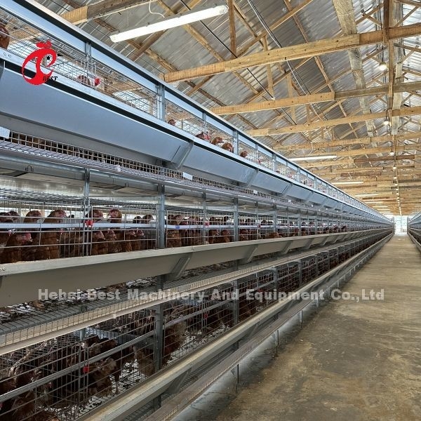 Stahlkäfig der Hühnerbatterie-Q235 für Geflügelfarm-Sondergröße-Iris