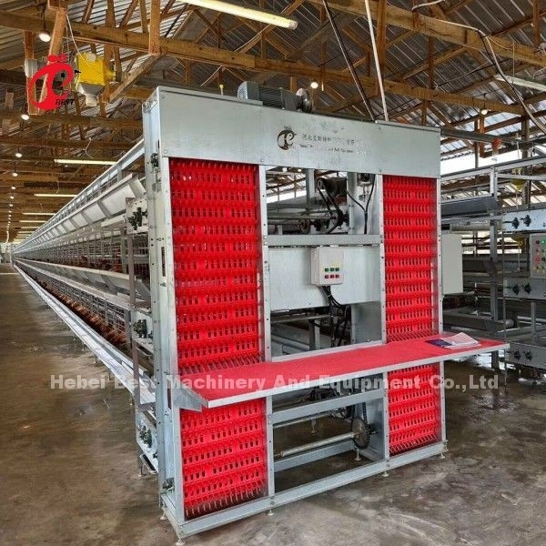 Automatisches Trinksystem für Schichten Geflügel-Schicht Käfig Adela