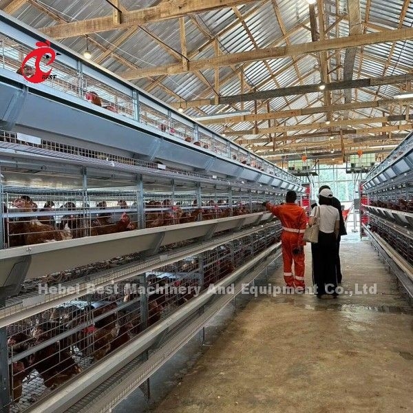 3/4/5/6/7/8 Schichten Geflügel-Schicht Käfig-System mit automatischem Feeder Adela