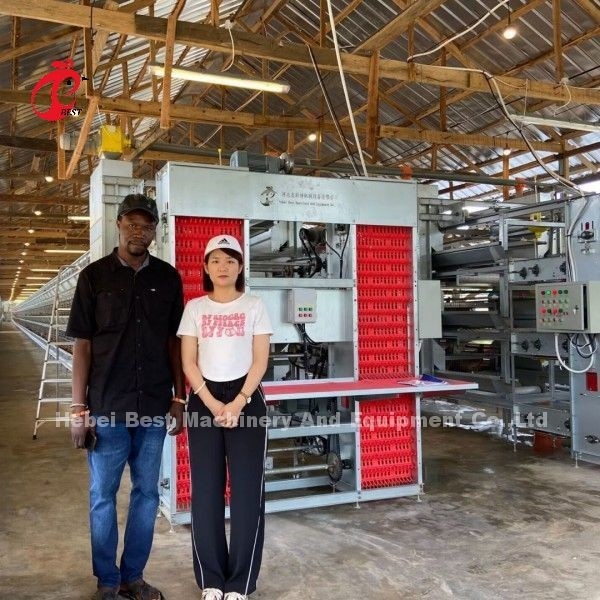 Hot Galvanized Q235 Stahl Hühner Batterie Käfig für Nigeria Ghana Kamerun Hühnerfarm Doris