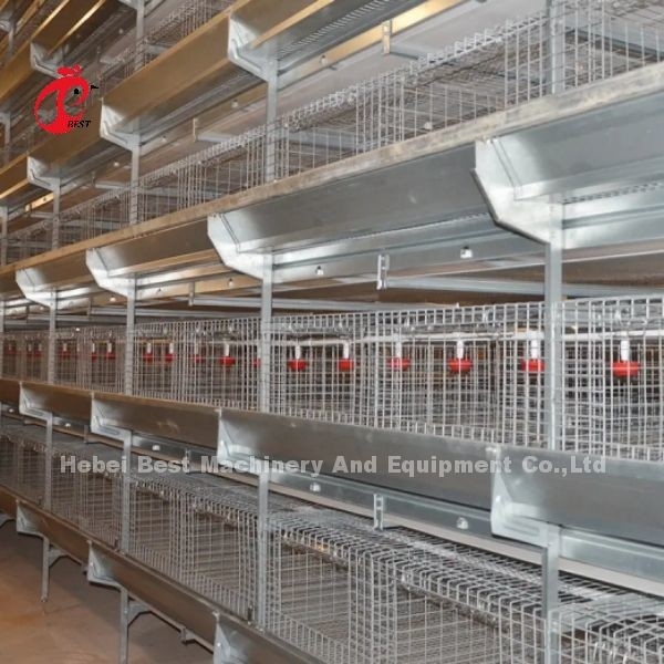 450cm2 H-Typ automatisches Hühnerbatteriekäfigsystem mit Feeder Adela
