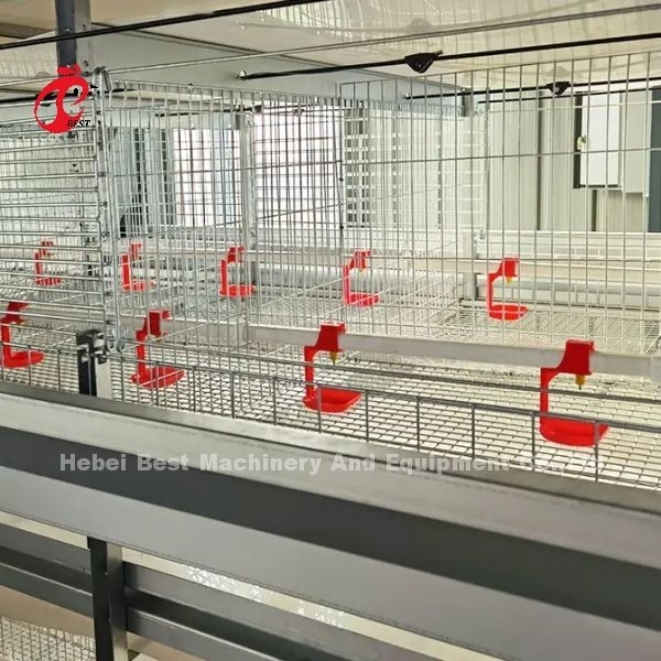 Q235 Stahlstärker Draht Broilerkäfig 1,5 m x 2,2 m x 1,75 m Adela
