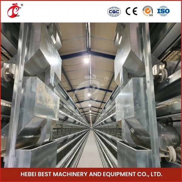 Hot Galvanized H-Typ Broiler Käfig Silber Oberflächenbehandlung für die Geflügelzucht Rose