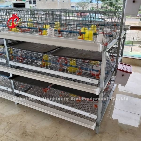 A und H-Typ Broiler Batterie Hühnerkäfig für 45 Tage Broiler Emily