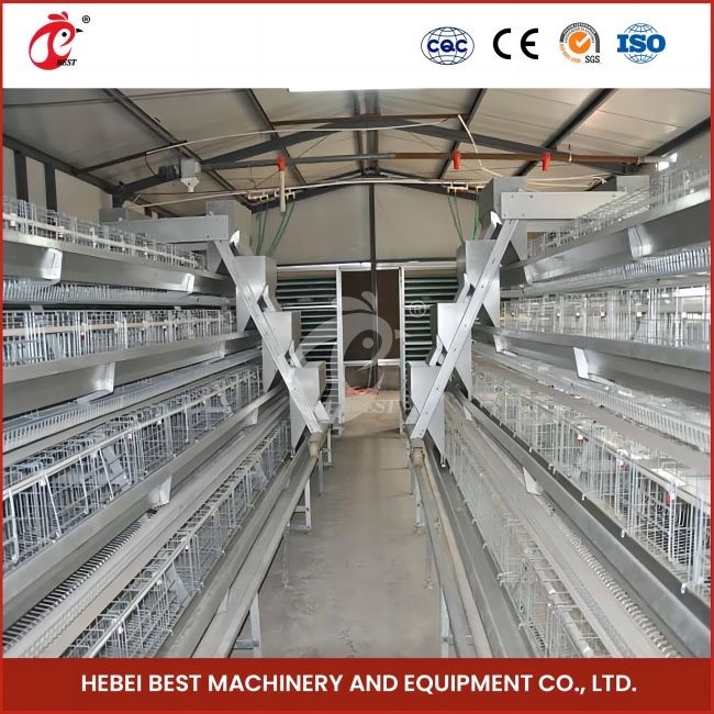 96 Vögel H-Typ automatischer Hühner-Hühnerkäfig / A-Typ Broiler-Hühnerkäfig mit Schiebetür Rose