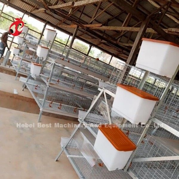 3 oder 4 Stufe Kükenzucht Käfig H Gürtel Handreinigungssystem 2x2x1.6meter Doris