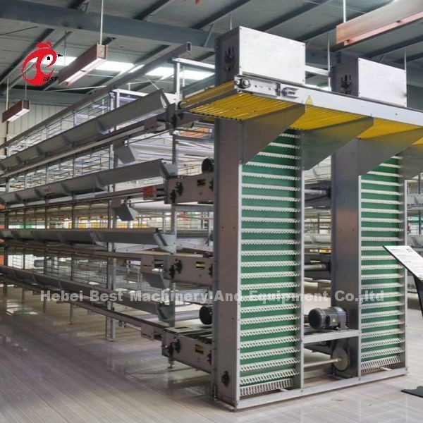 Moduläres Geflügelkäfigsystem für Schichtfarmen