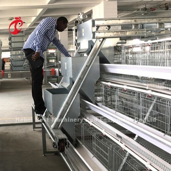 Oberste Schicht Batterie Käfigsystem für Hühnerzucht 96-200 Vögel Robuste Drahtkonstruktion Iris