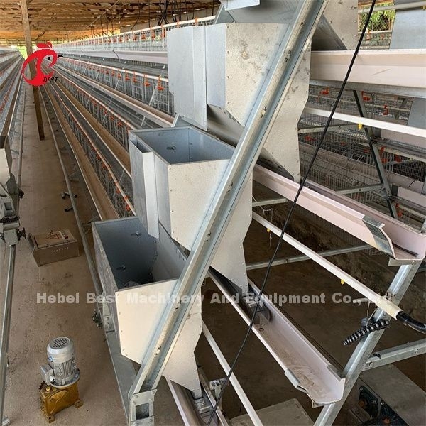 Afrika Hot Galvanized 4 Tiers Geflügel Schicht Batterie Käfig 25 Jahre Lebensdauer zum Verkauf für Schichten Farm Emily