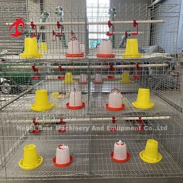 Reihen des Geflügelfarm-Brathühnchen-Käfig-3, eine Art Batterie für Bratroste Doris