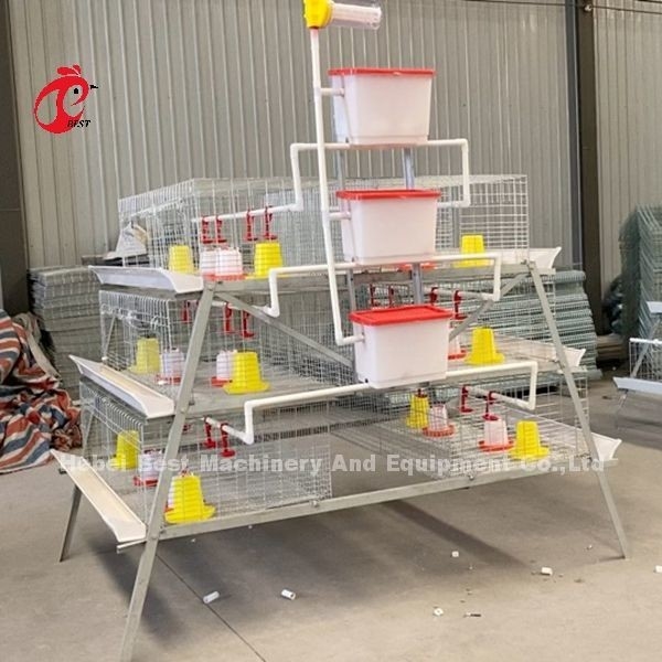Ein Typ Broiler Batterie Käfig Galvanisiert Hohe Festigkeit Geflügel Broiler Käfig Iris