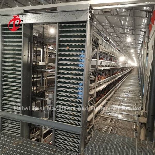 Automatisches Eiersammel-Fütterungssystem für 30.000 Hühner