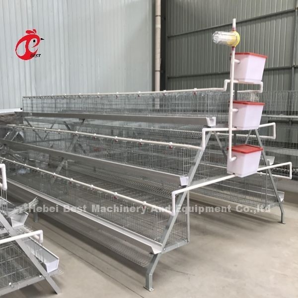 Kalter galvanisierter Ei-Legenhühnerkäfig Adela Türen des Geflügel-Batterie-Systems 40
