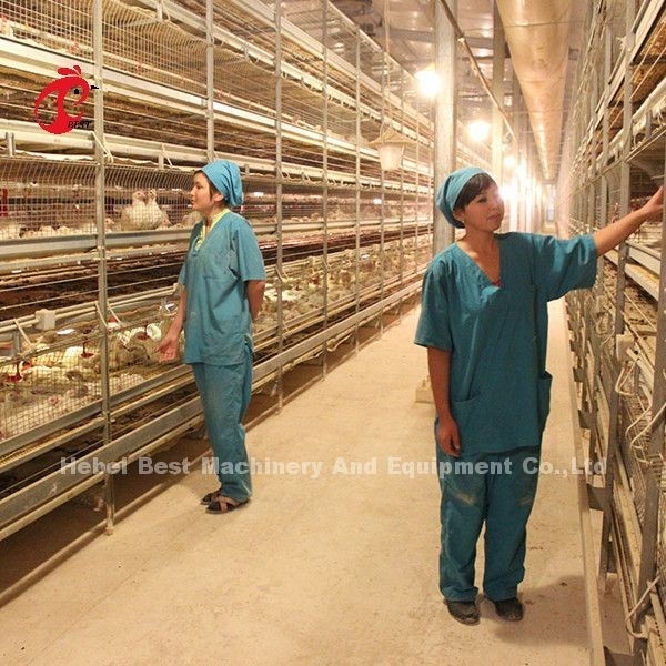 Modernes Design Batterieschicht Käfig H-Typ Geflügelfarm Käfig ISO14001 Emily