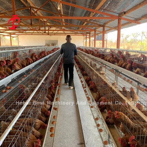 Reihen-Geflügel-Schicht-Käfig Ugandas 4 für Verkaufs-Bauernhof-Huhn 100 Kilogramm Mia