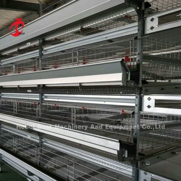 Batterie automatische H-Typ Geflügelkäfig-System heiß verkaufen 240Birds Rose