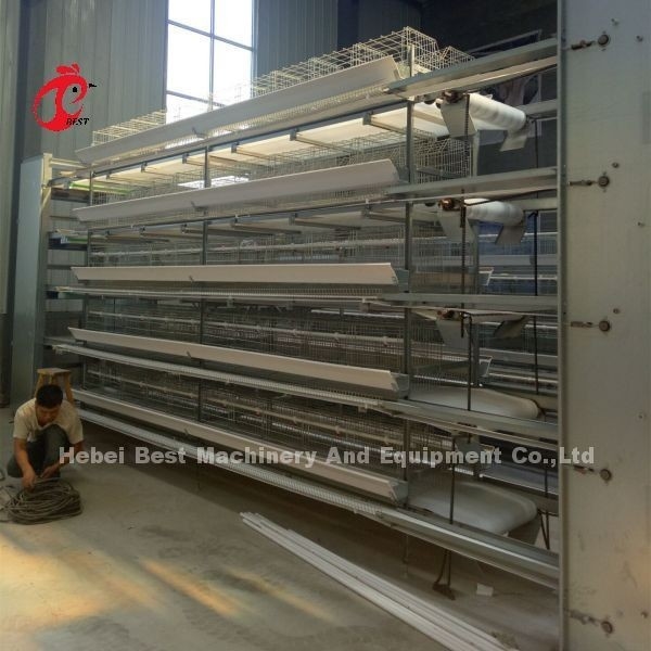 Komplette h-Art automatische Schicht-Hühnerbatterien 500 Vögel Adela
