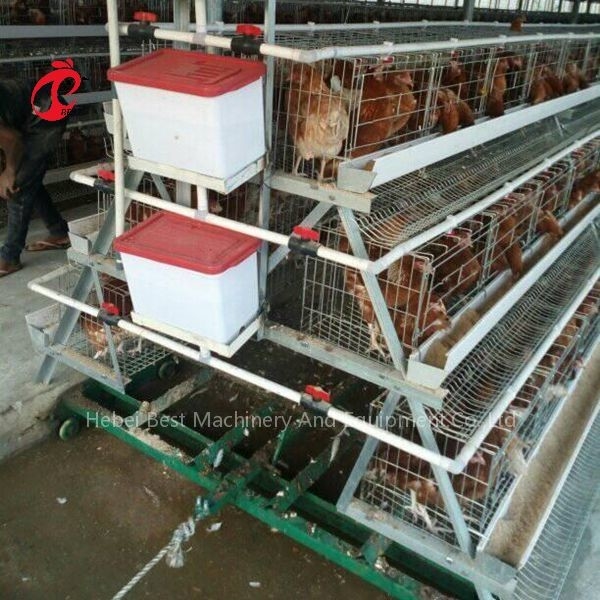Käfig-System-Geflügel-Düngemittel-Schaber-Düngemittel, das 3 Arten Iris säubert